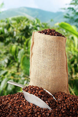 Coffe Bag and Fresh Beans